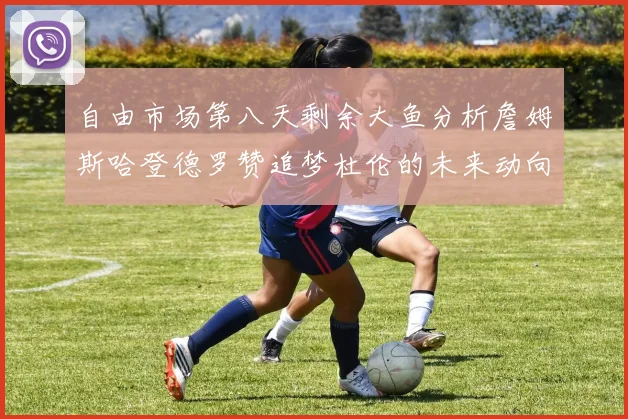 自由市场第八天剩余大鱼分析詹姆斯哈登德罗赞追梦杜伦的未来动向