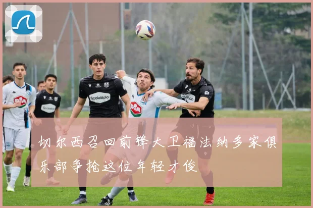 切尔西召回前锋大卫福法纳多家俱乐部争抢这位年轻才俊