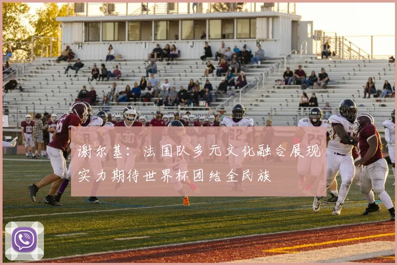 谢尔基：法国队多元文化融合展现实力期待世界杯团结全民族