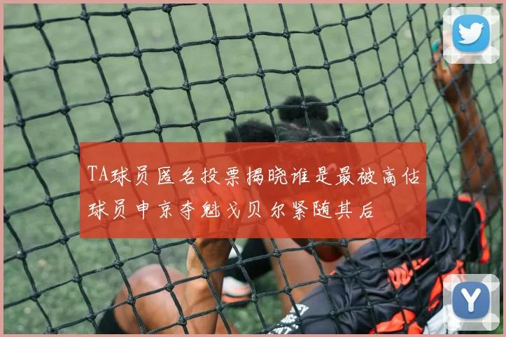 TA球员匿名投票揭晓谁是最被高估球员申京夺魁戈贝尔紧随其后